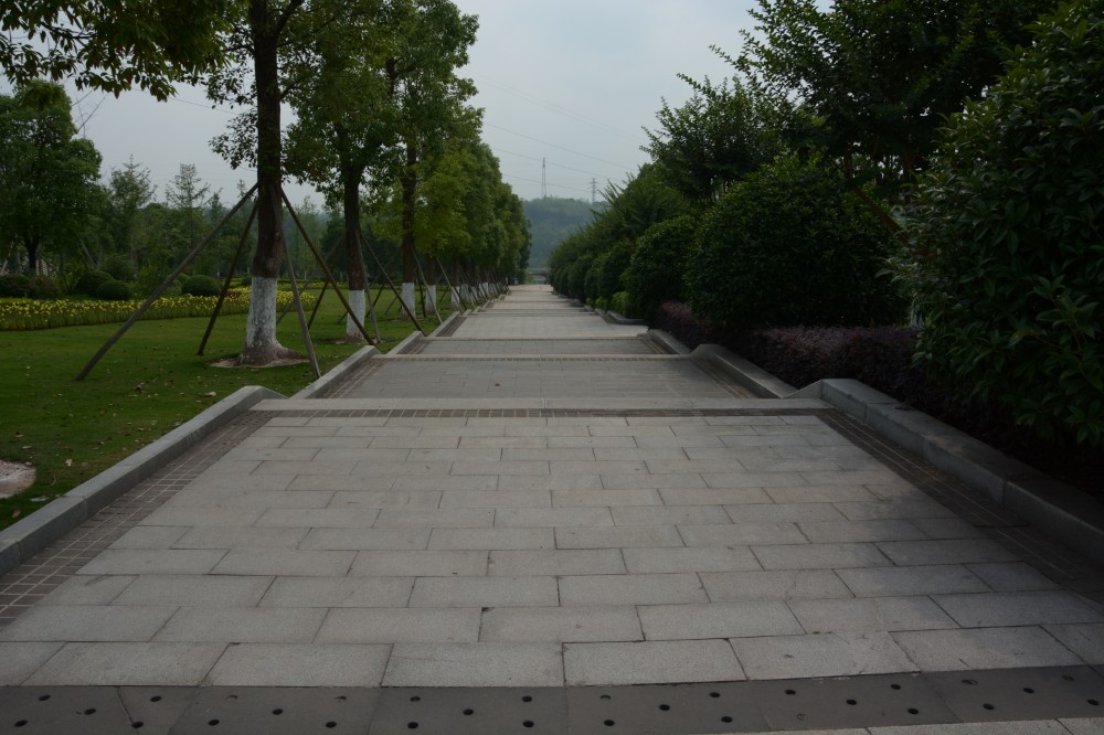 匯豐砂巖 砂巖案例