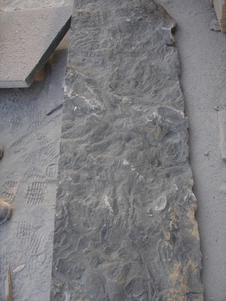 匯豐砂巖 黑砂巖