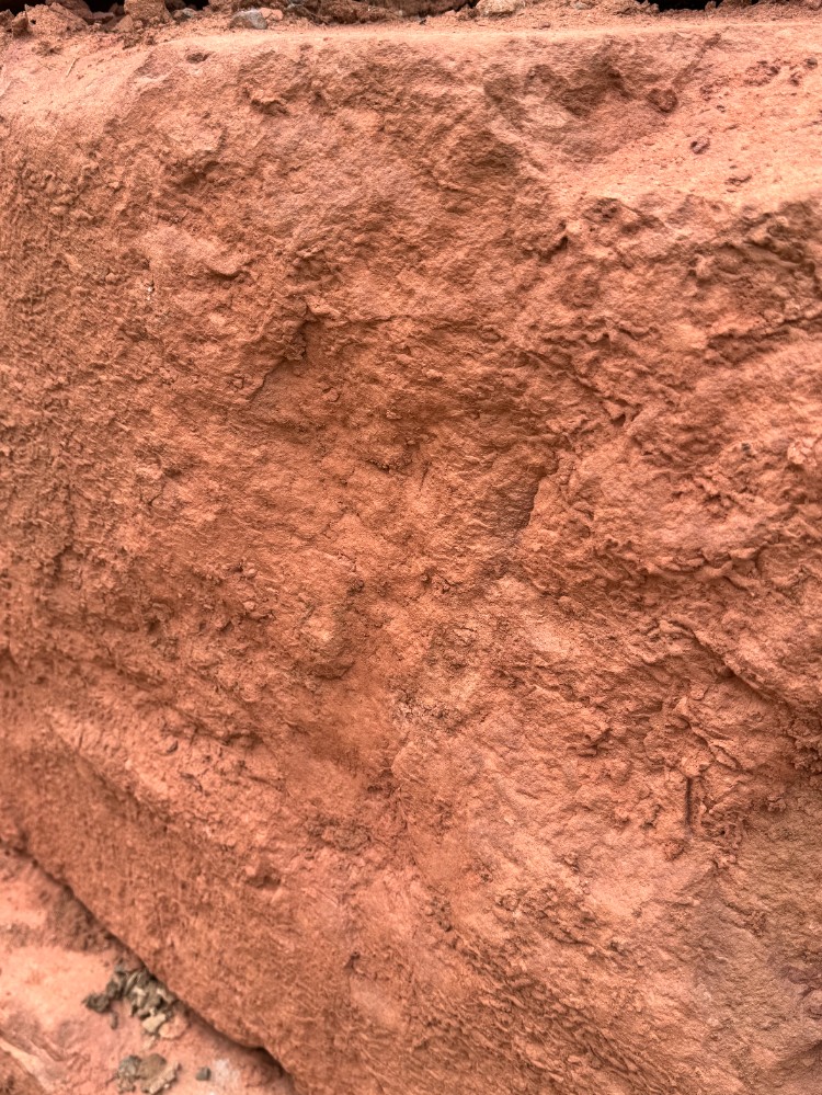 匯豐砂巖 紅砂巖