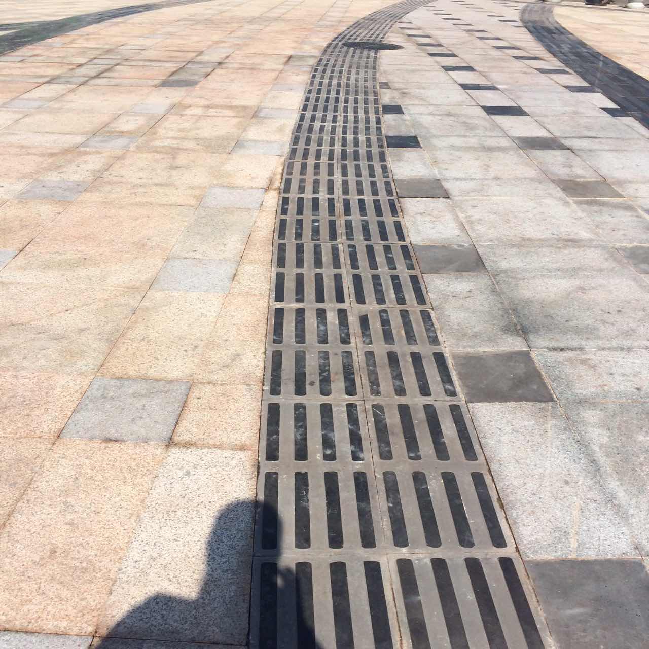 銹石荔枝面、中國黑盲道