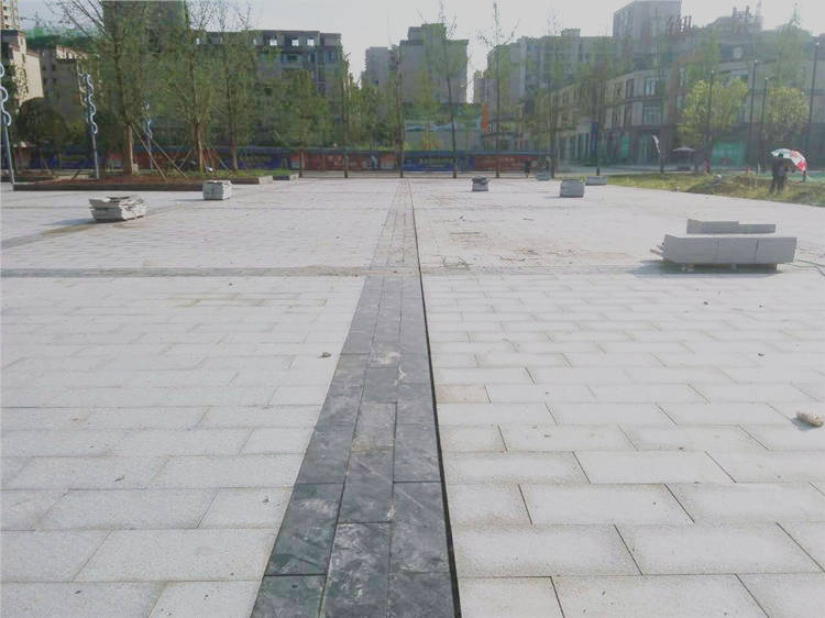 南充新四館一場(chǎng)工程案例最新動(dòng)態(tài)