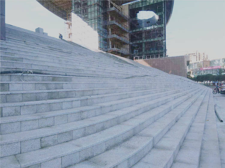 南充新四館一場(chǎng)工程案例最新動(dòng)態(tài)