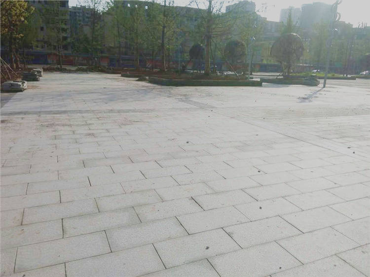 南充新四館一場(chǎng)工程案例最新動(dòng)態(tài)