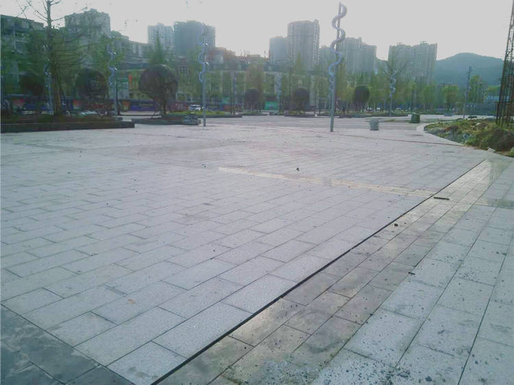 南充新四館一場(chǎng)工程案例最新動(dòng)態(tài)